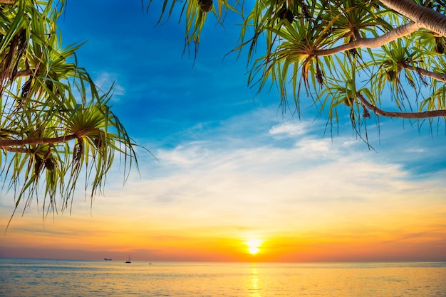 Bela paisagem com pôr do sol na praia tropical com palmeiras