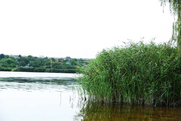 Bela paisagem com rio e vila