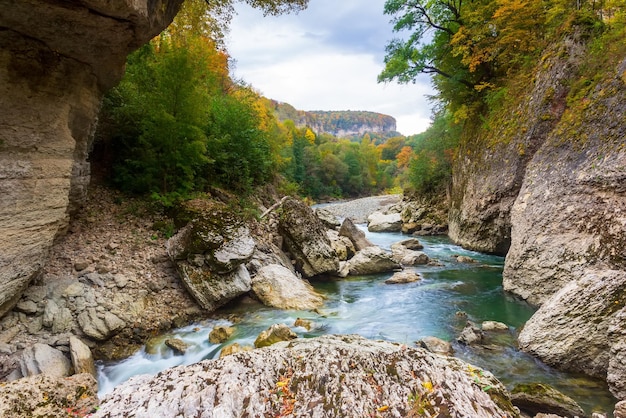 Bela paisagem com um rio de montanha em uma manhã de outono