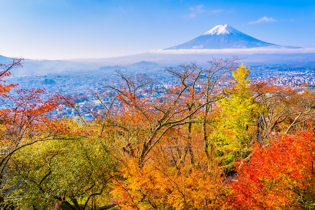 Foto bela paisagem da montanha fuji ao redor da árvore de folha de plátano na temporada de outono