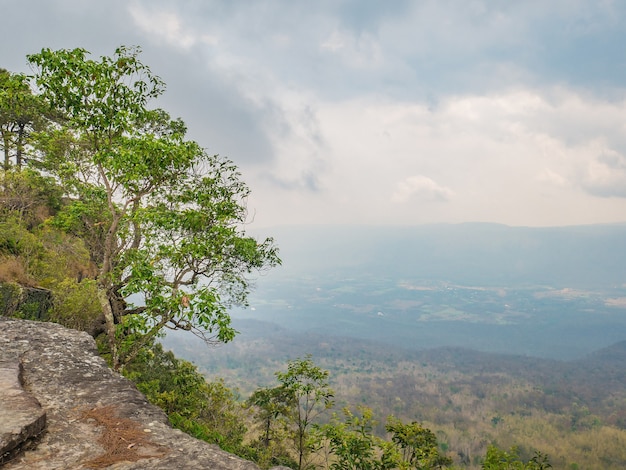 Bela paisagem da montanha phu kradueng