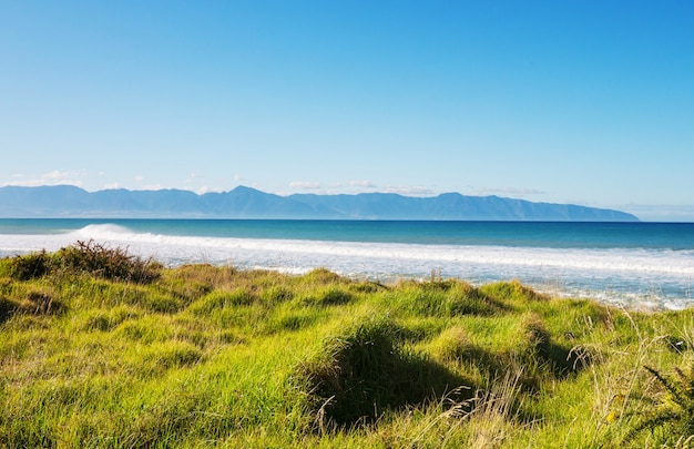 Bela paisagem da Ocean Beach, Nova Zelândia.