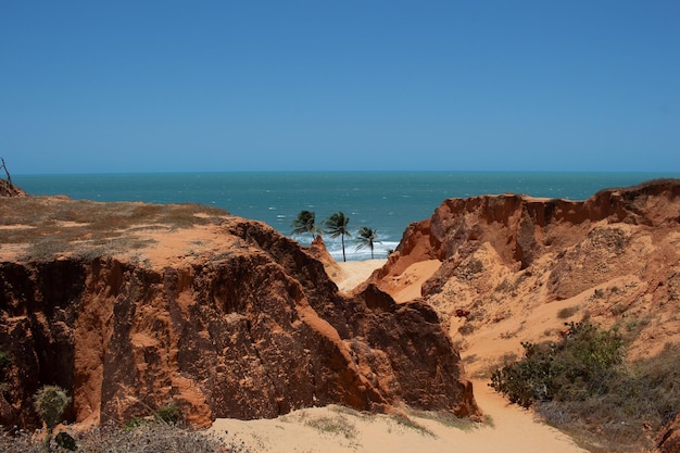 Bela paisagem da praia com três coqueiros