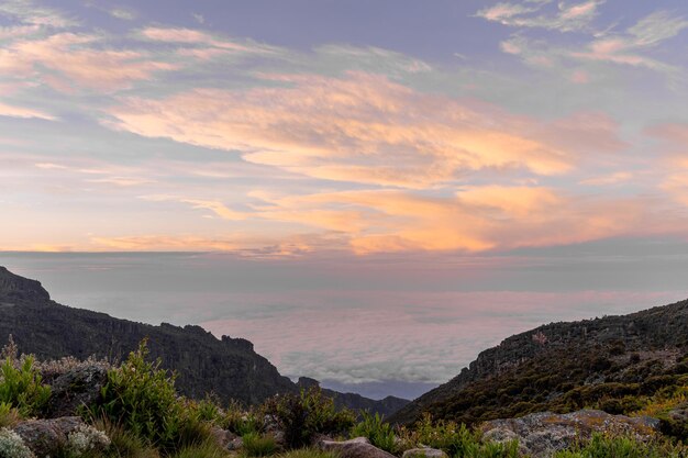 Bela paisagem da Tanzânia e do Quênia da montanha Kilimanjaro. Rochas, arbustos e terreno vulcânico vazio ao redor do vulcão Kilimanjaro.