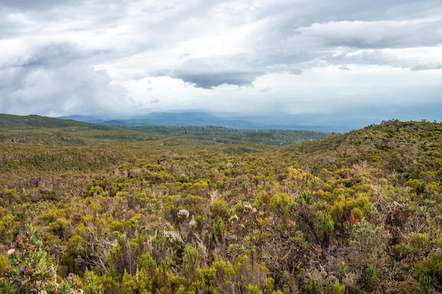 Bela paisagem da Tanzânia e do Quênia da montanha Kilimanjaro. Rochas, arbustos e terreno vulcânico vazio ao redor do vulcão Kilimanjaro.