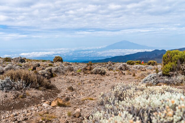 Bela paisagem da tanzânia e do quênia da montanha kilimanjaro. rochas, arbustos e terreno vulcânico vazio ao redor do vulcão kilimanjaro.