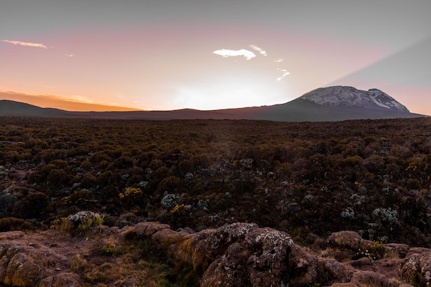 Bela paisagem da Tanzânia e do Quênia da montanha Kilimanjaro. Rochas, arbustos e terreno vulcânico vazio ao redor do vulcão Kilimanjaro.