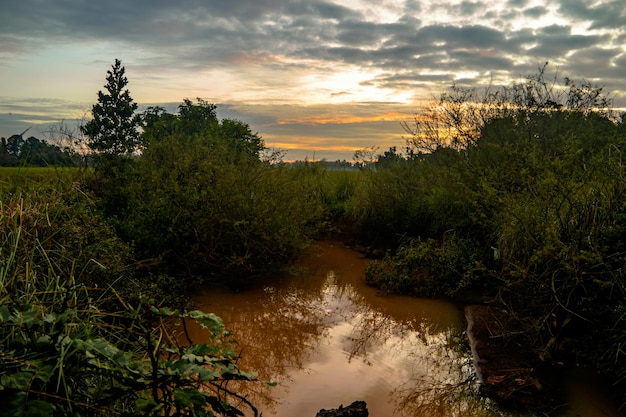 Bela paisagem da tarde com rio