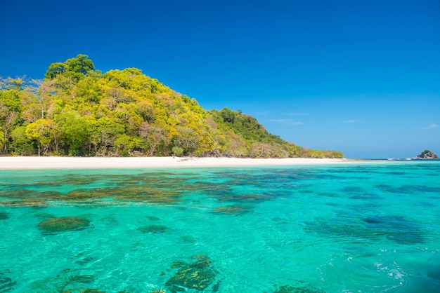 Bela paisagem de água do mar azul transparente e ilha tropical com praia