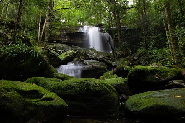 Bela paisagem de cachoeira. Cachoeira na floresta.