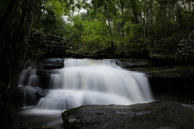 Bela paisagem de cachoeira. Cachoeira na floresta.