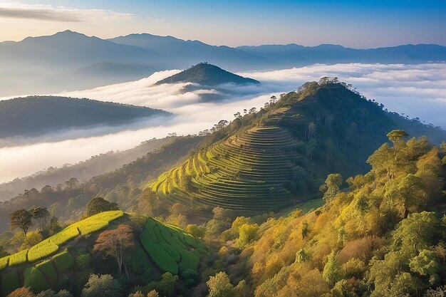 Bela paisagem de camada de montanha no raio do sol da manhã e nevoeiro de inverno em Doi Hua Mae Kham Mae Salong Nai Chiangrai Tailândia