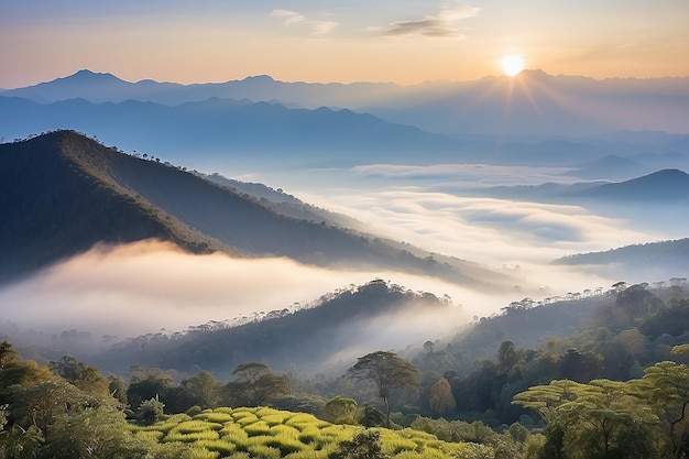 Bela paisagem de camada de montanha no raio do sol da manhã e nevoeiro de inverno em Doi Hua Mae Kham Mae Salong Nai Chiangrai Tailândia