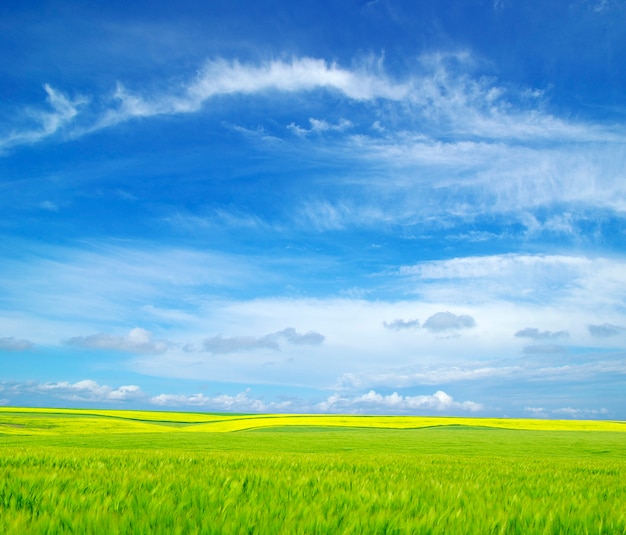 Bela paisagem de campo e céu