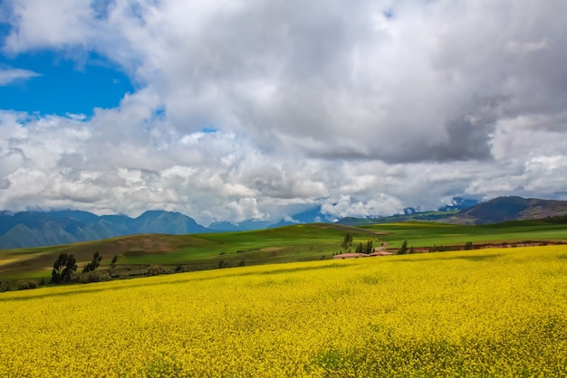 Bela paisagem de campos, prados e montanhas no Peru, América do Sul