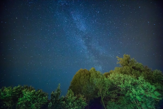 Bela paisagem de céu noturno com estrelas e árvores