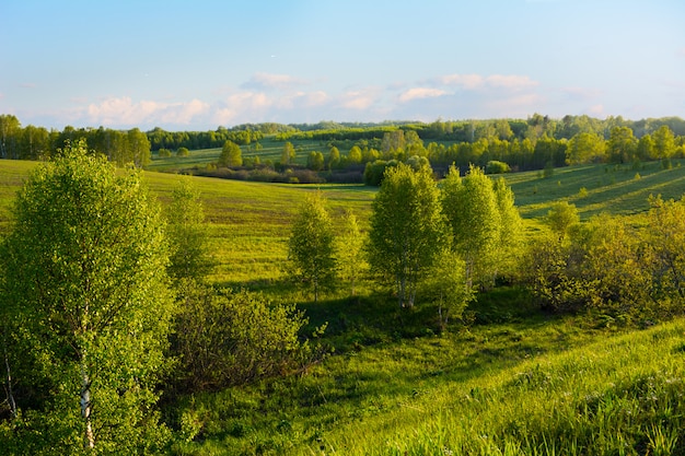 Bela paisagem de colinas