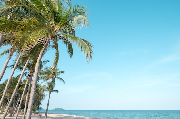 Bela paisagem de coqueiro na praia tropical