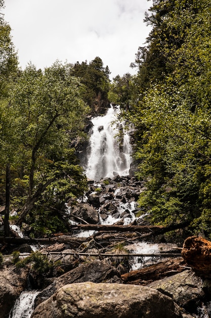 Foto bela paisagem de floresta montanhosa