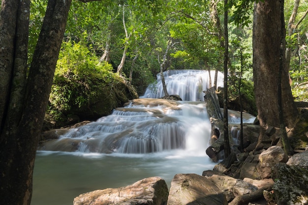 bela paisagem de fundo de floresta de cachoeira