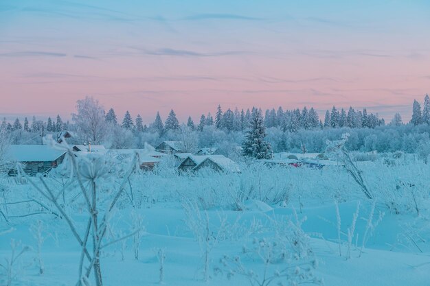 Foto bela paisagem de inverno com árvores e casas cobertas de neve