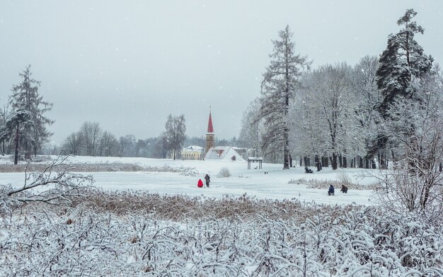 Bela paisagem de inverno com um lago congelado e árvores brancas na geada. Pescador caminhando em um lago congelado. Gatchina. Rússia.