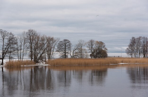 Bela paisagem de inverno na costa do Golfo da Finlândia, em Peterhof Park, em São Petersburgo