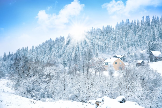 Bela paisagem de inverno no campo