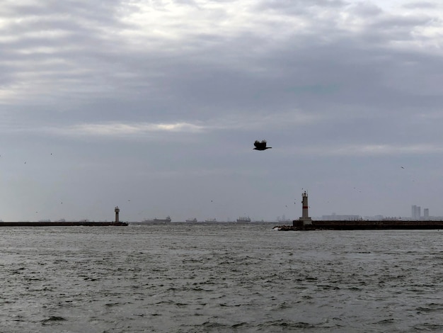 Bela paisagem de Istambul Estreito de Bósforo, faróis, Porto Kadikoy e gaivota voadora, Turquia