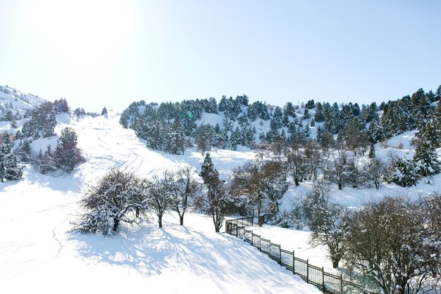 Bela paisagem de montanhas nevadas