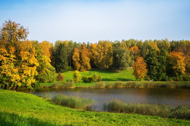 Bela paisagem de outono com árvores douradas à beira do lago. Pavlovsk. Rússia.