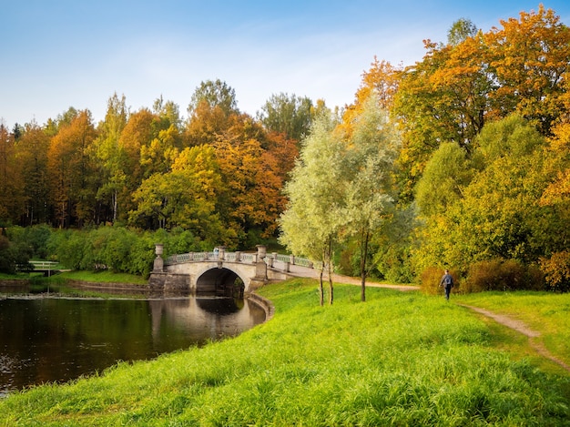 Bela paisagem de outono com árvores vermelhas e a velha ponte de pedra sobre o lago. pavlovsk. rússia.