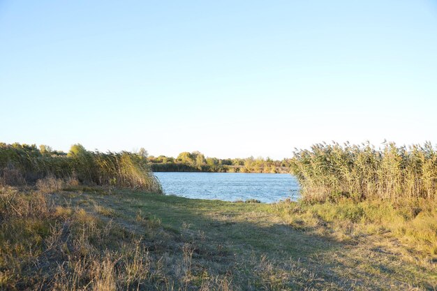 Bela paisagem de outono com lago e árvores multicoloridas Lugar pitoresco com lago e árvores altas