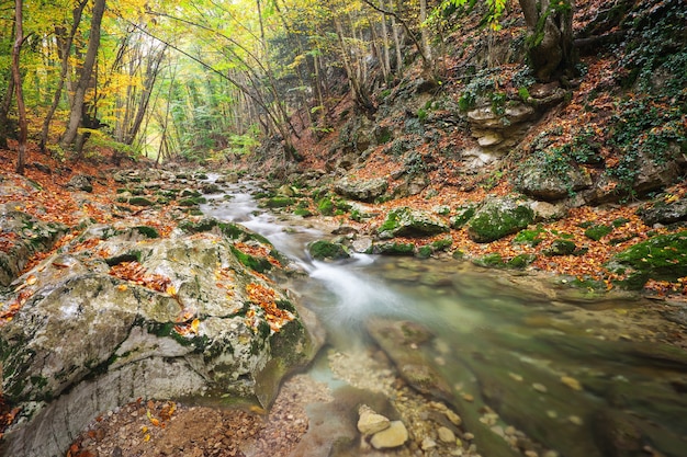 Bela paisagem de outono com rio de montanha e árvores coloridas com folhas verdes, vermelhas, amarelas e laranja. Floresta de montanha na Crimeia.