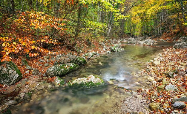 Bela paisagem de outono com rio de montanha e árvores coloridas com folhas verdes, vermelhas, amarelas e laranja. Floresta de montanha na Crimeia.