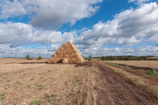 Bela paisagem de outono com rolinhos de palha no campo e nuvens brancas