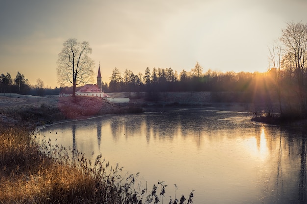 Bela paisagem de outono com uma árvore perto do antigo palácio. Gatchina. Rússia.