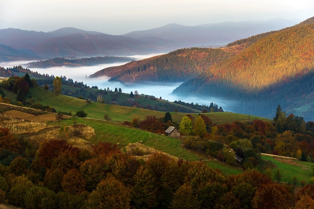 Bela paisagem de outono nas montanhas Karpaty na floresta