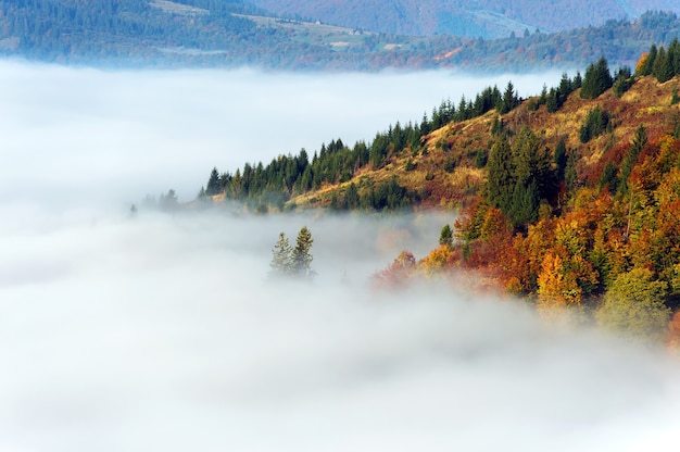 Bela paisagem de outono nas montanhas Karpaty na floresta