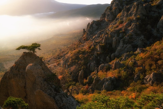 Foto bela paisagem de outono nas montanhas