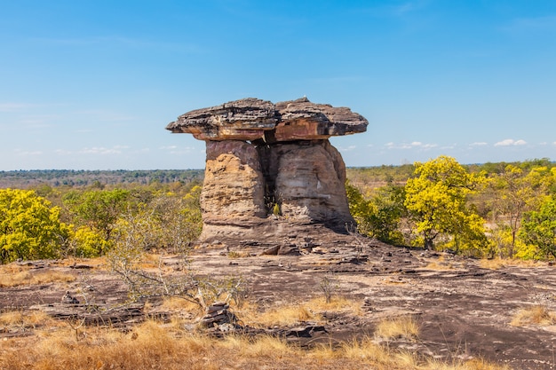 Bela paisagem de pedra de areia seca pode yon na Tailândia