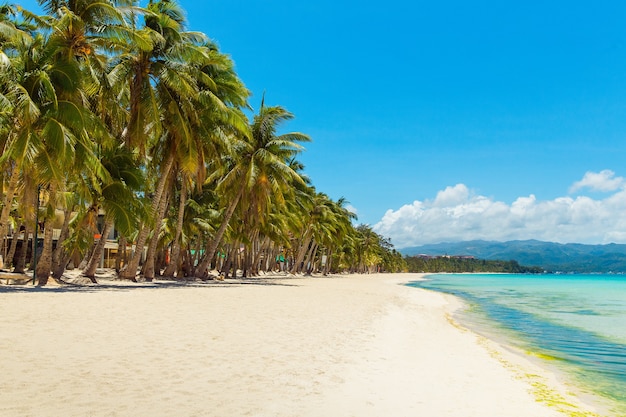 Bela paisagem de praia tropical Coqueiros, mar, veleiro e areia branca