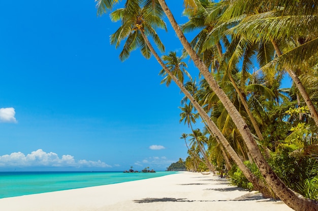 Foto bela paisagem de praia tropical coqueiros, mar, veleiro e areia branca