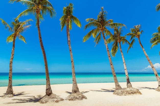 Bela paisagem de praia tropical na ilha de Boracay, Filipinas. Coqueiros, mar, veleiro e areia branca. Visão da natureza. Conceito de férias de verão.