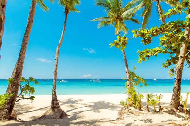 Bela paisagem de praia tropical na ilha de Boracay, Filipinas. Coqueiros, mar, veleiro e areia branca. Visão da natureza. Conceito de férias de verão.