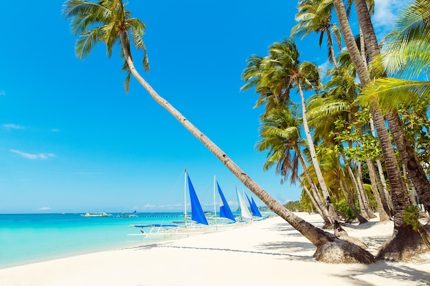 Bela paisagem de praia tropical na ilha de Boracay, Filipinas. Coqueiros, mar, veleiro e areia branca. Visão da natureza. Conceito de férias de verão.