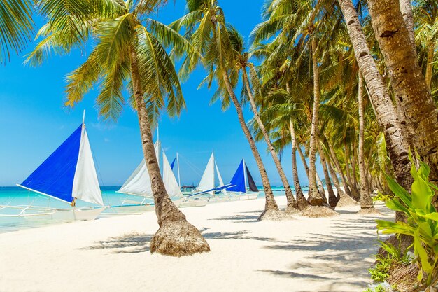 Bela paisagem de praia tropical na ilha de Boracay, Filipinas. Coqueiros, mar, veleiro e areia branca. Visão da natureza. Conceito de férias de verão.