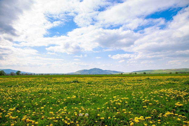 Bela paisagem de primavera e verão.