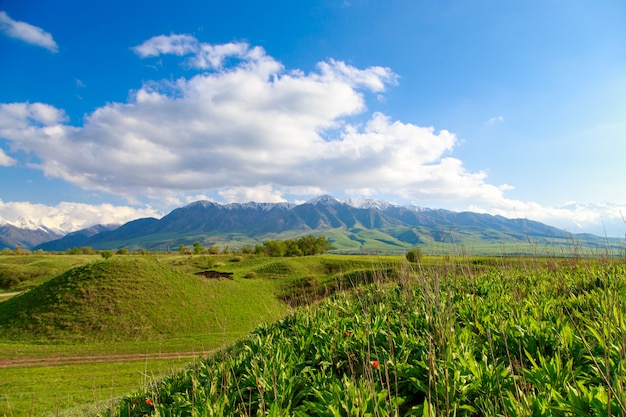 Bela paisagem de primavera e verão.