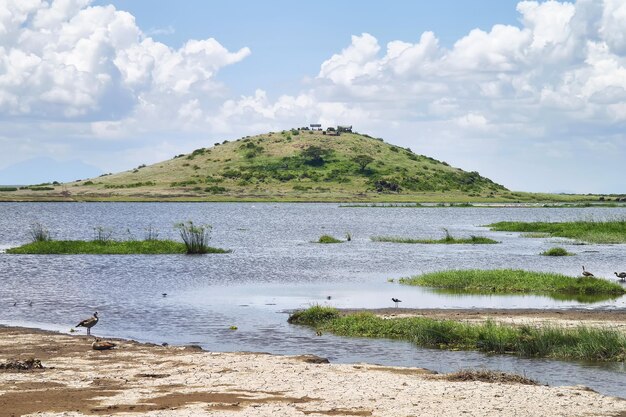 Foto bela paisagem de savana africana e lagos no parque nacional amboseli, no quênia